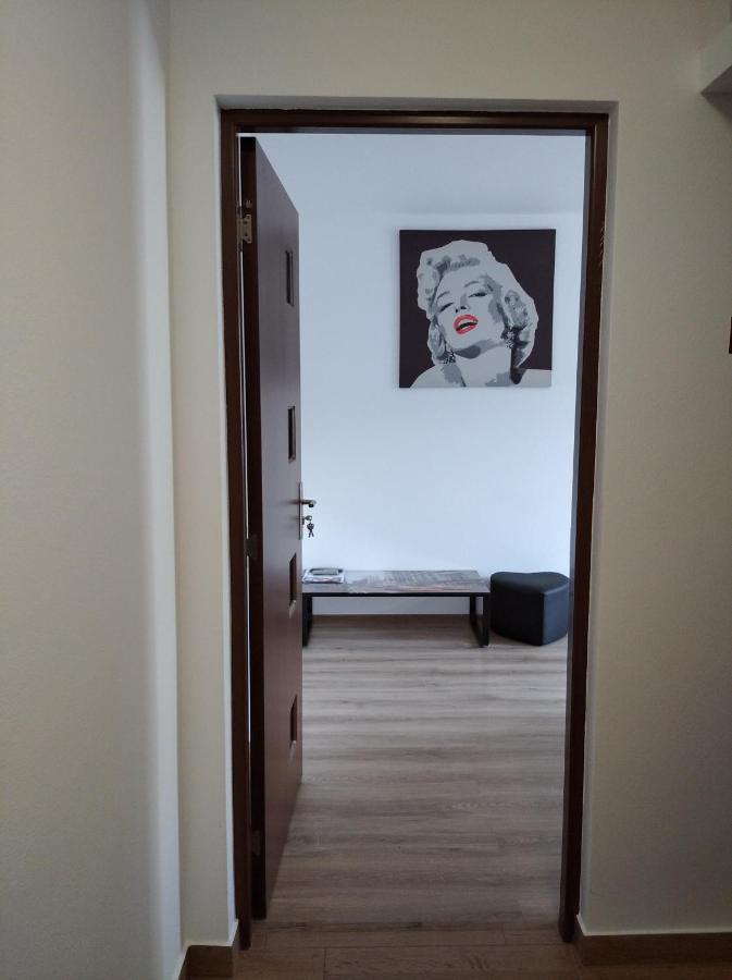 Apartament Cristian Apartment Orsova Bagian luar foto